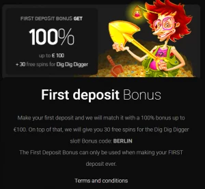 Casinochan bonus